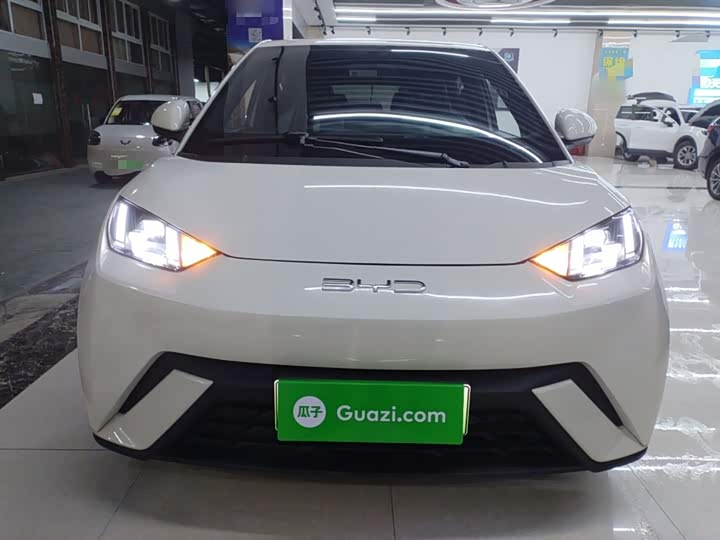 Фото 3 - BYD Seagull