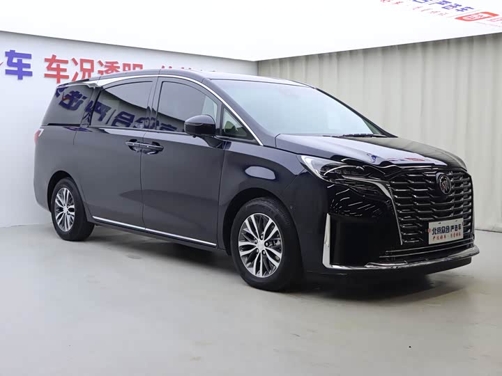 Фото 2 - Buick GL8 ES