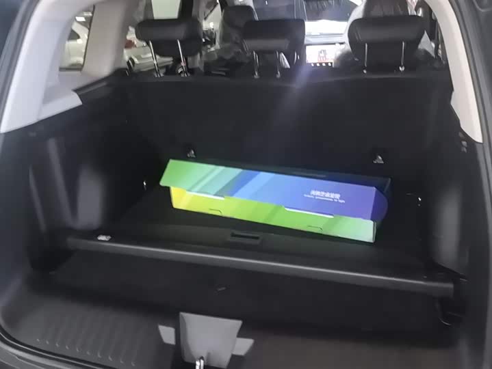 Фото 4 - Haval Dargo