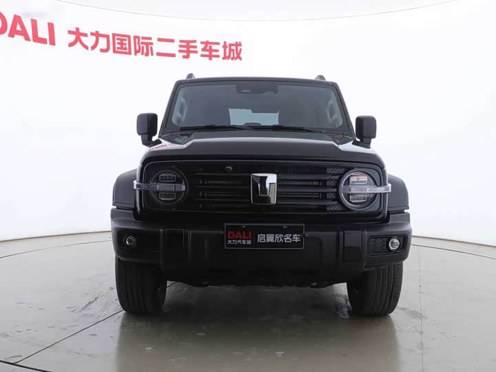 Фото 2 - Tank 300