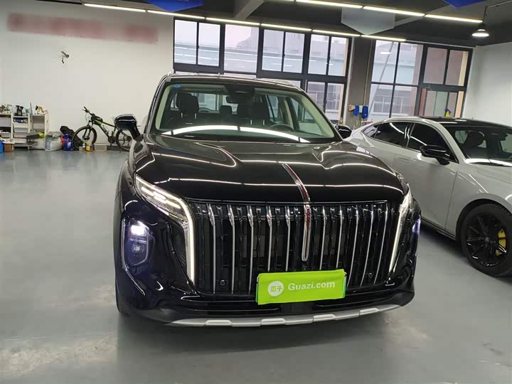Фото 3 - Hongqi HS7 Hybrid