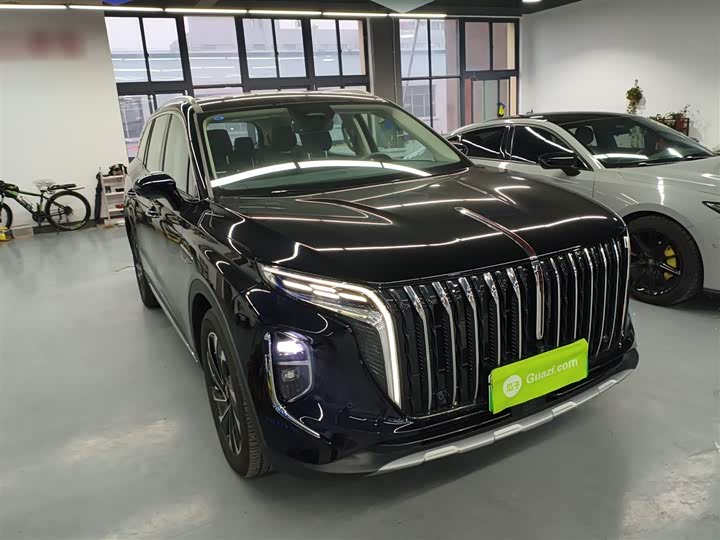 Фото 4 - Hongqi HS7 Hybrid
