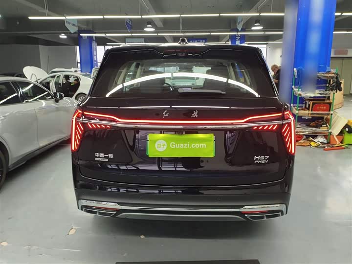 Фото 6 - Hongqi HS7 Hybrid
