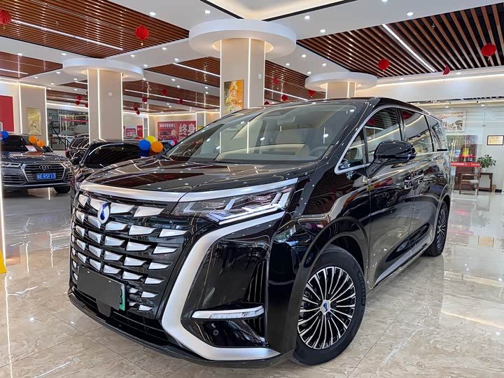 Фото 1 - Denza D9