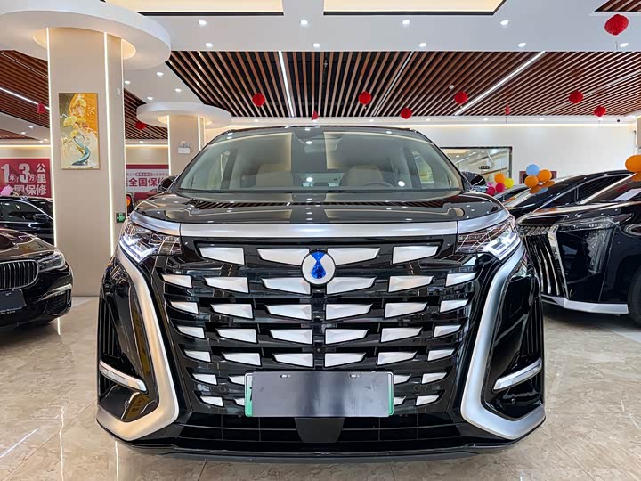 Фото 2 - Denza D9