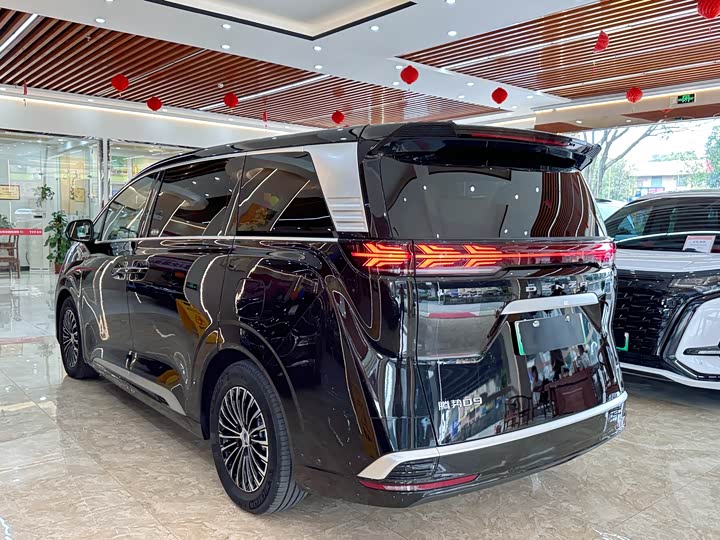 Фото 5 - Denza D9