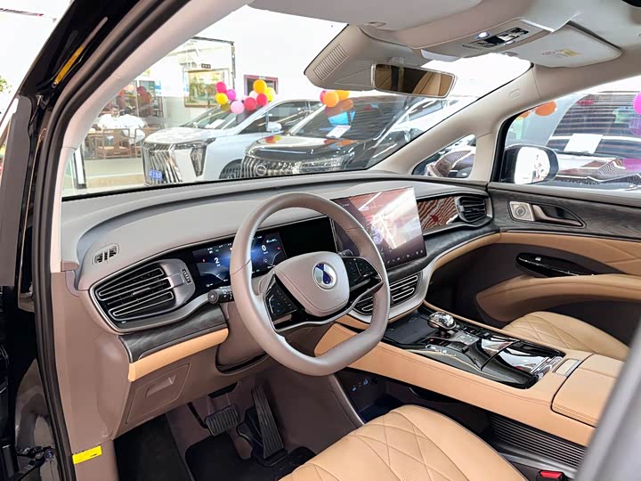 Фото 6 - Denza D9