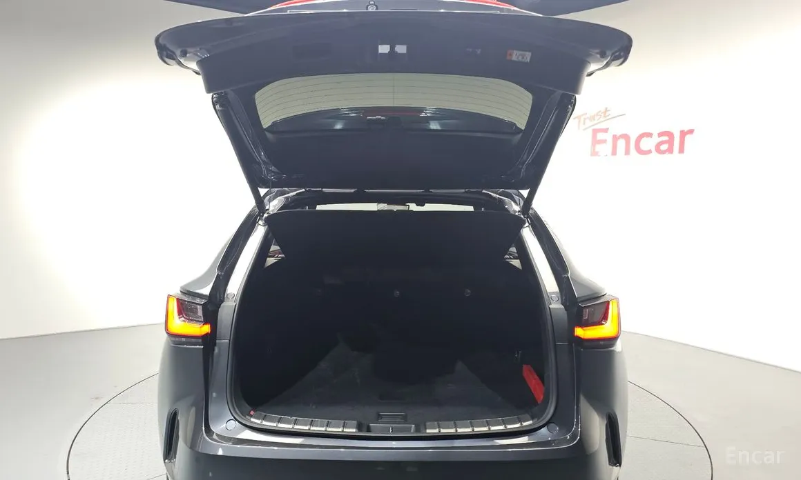 Фото 20 - Lexus NX