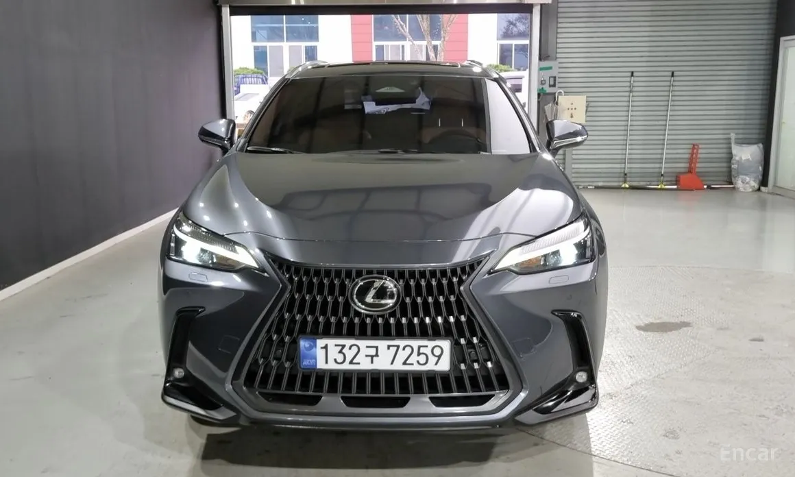 Фото 1 - Lexus NX