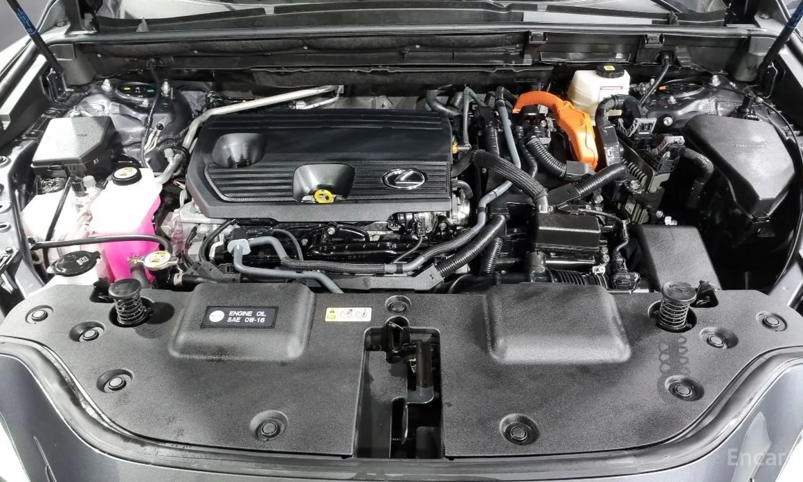 Фото 6 - Lexus NX