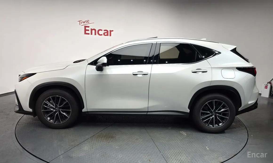 Lexus NX 2022 Premium