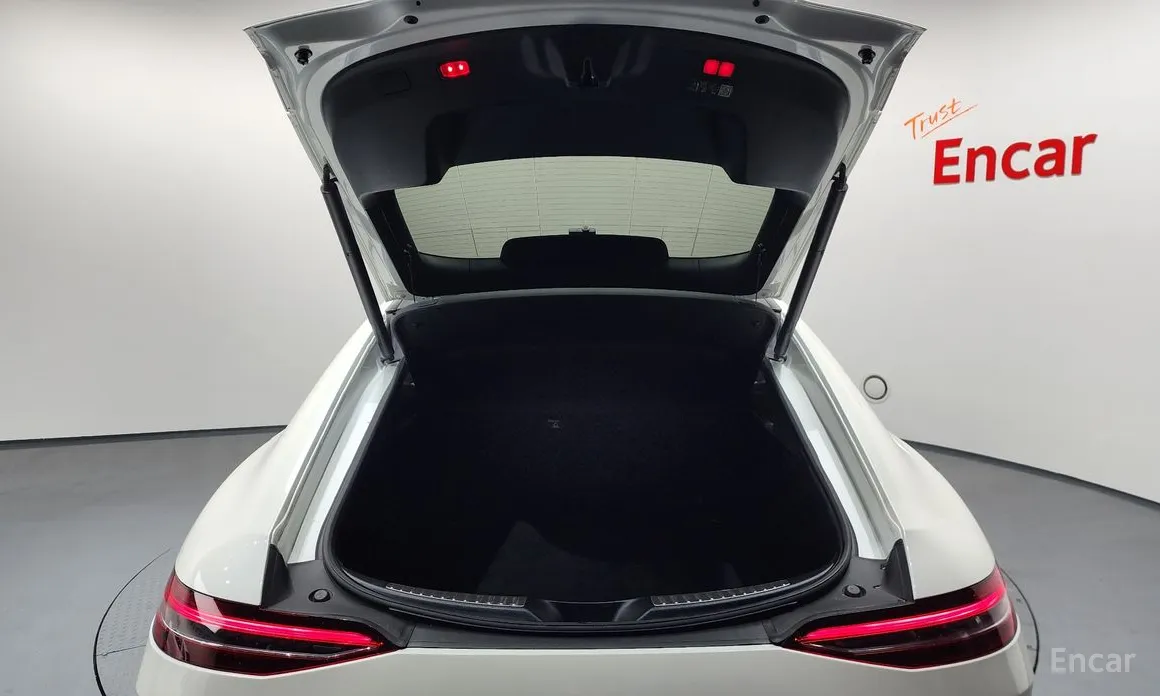 Фото 20 - Mercedes-Benz AMG GT