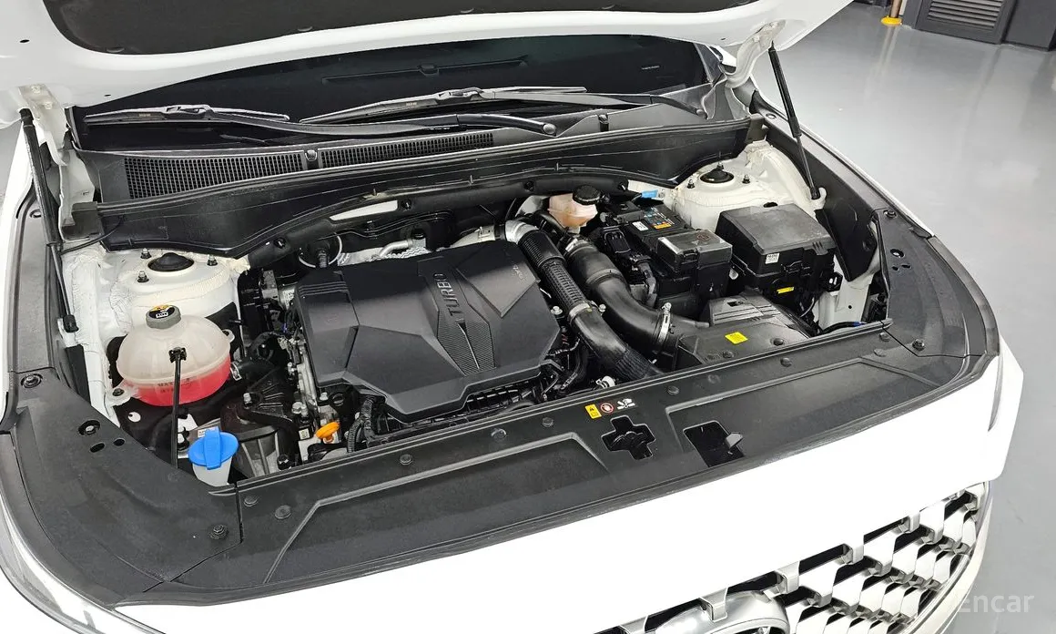 Фото 6 - Hyundai Santa Fe