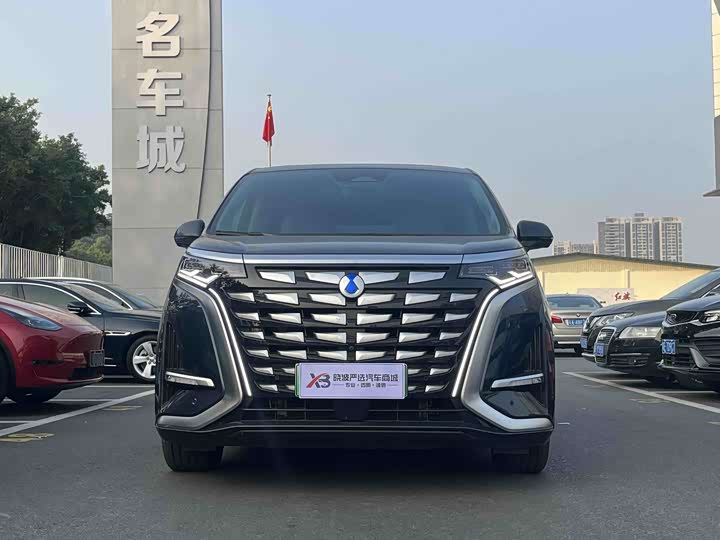 Фото 2 - Denza D9