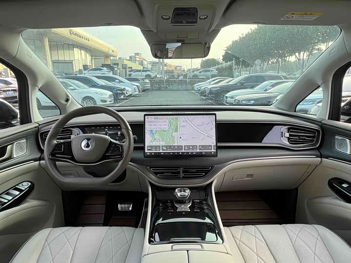 Фото 4 - Denza D9