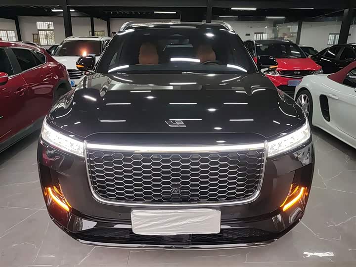 Фото 3 - LiXiang One