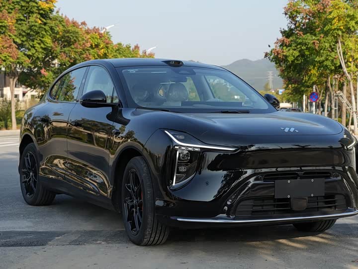 Фото 2 - IM motors LS6