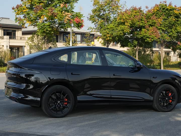 Фото 7 - IM motors LS6