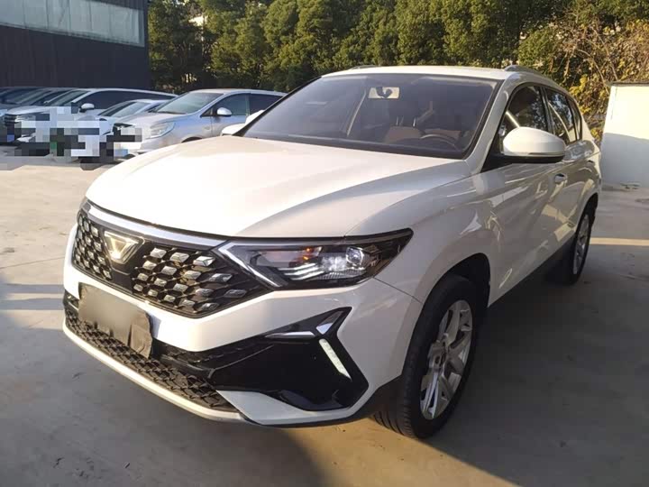 Фото 1 - Jetta VS5