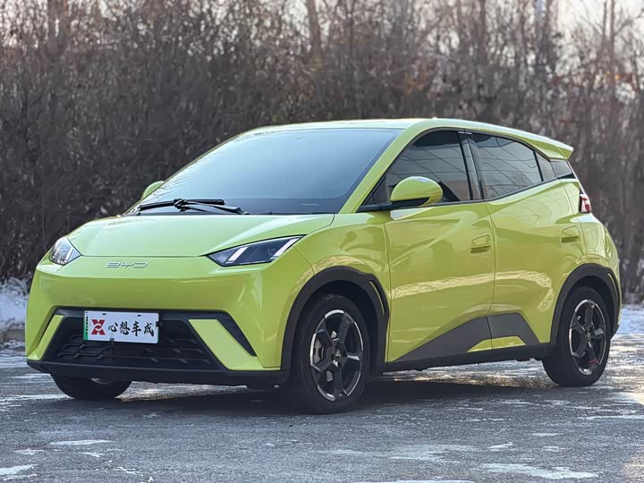 Фото 1 - BYD Seagull