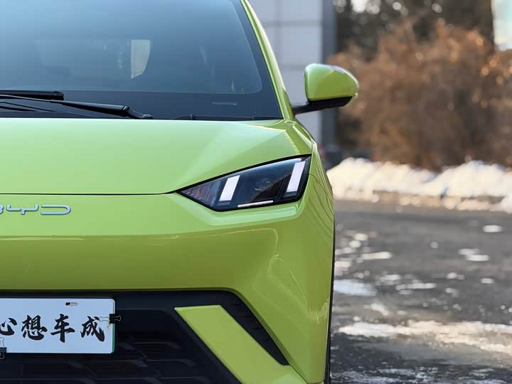 Фото 2 - BYD Seagull