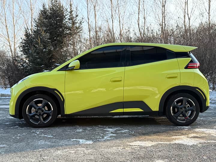 Фото 3 - BYD Seagull