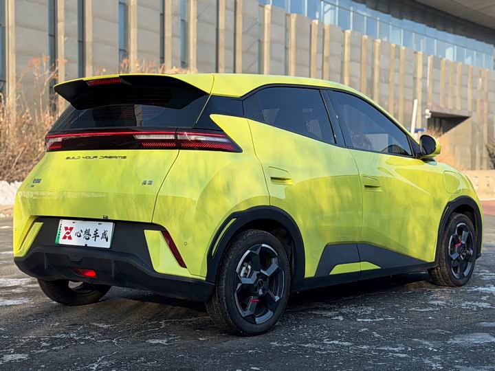 Фото 7 - BYD Seagull