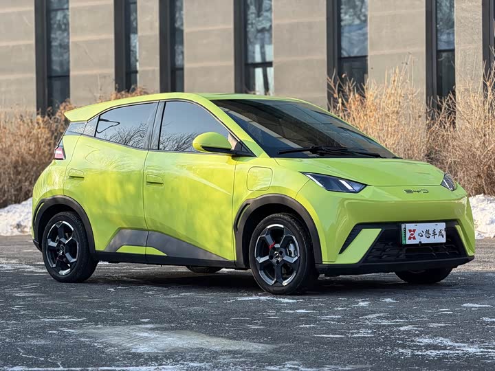 Фото 8 - BYD Seagull