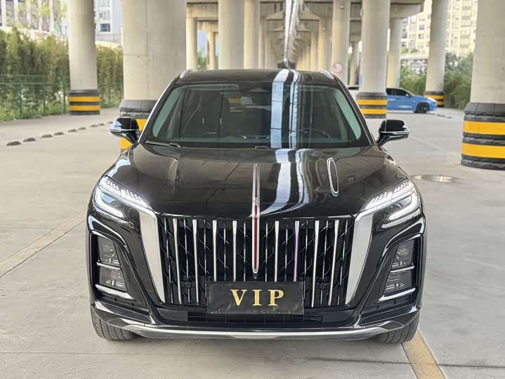 Фото 2 - Hongqi HS3