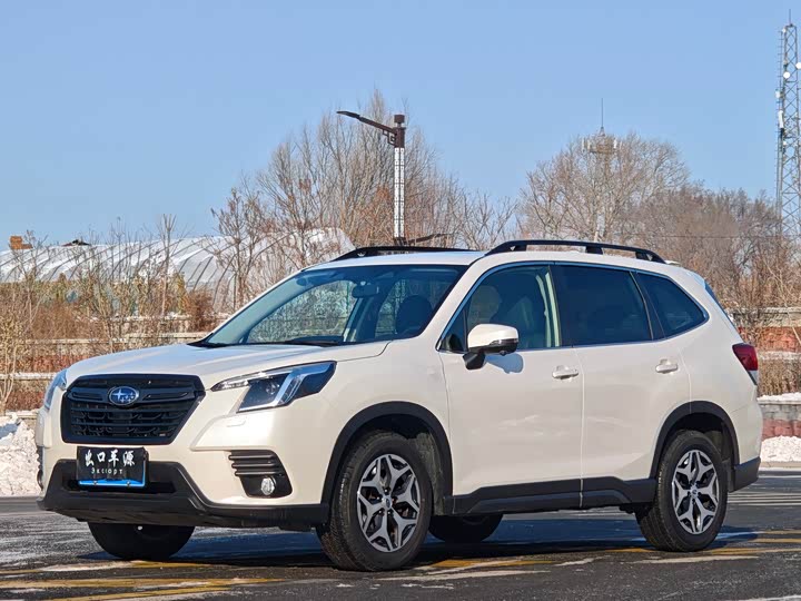 Фото 1 - Subaru Forester