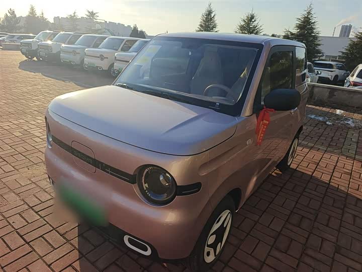 Фото 2 - Geely Galaxy Panda Mini