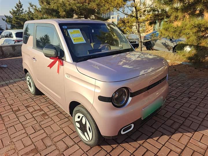 Фото 4 - Geely Galaxy Panda Mini