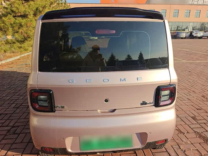 Фото 6 - Geely Galaxy Panda Mini