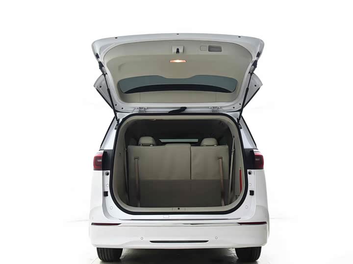 Фото 6 - Buick GL8 ES