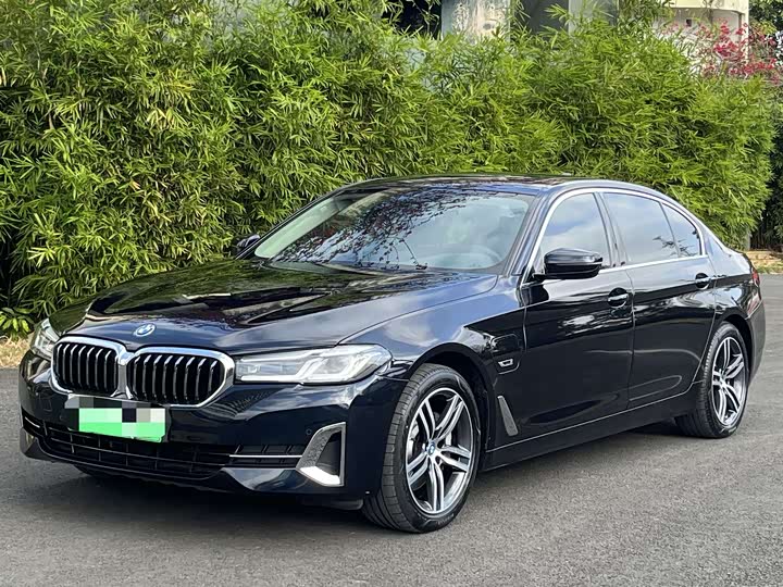 Фото 2 - BMW 5 Series Hybrid