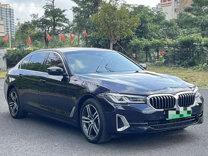 Фото 4 - BMW 5 Series Hybrid