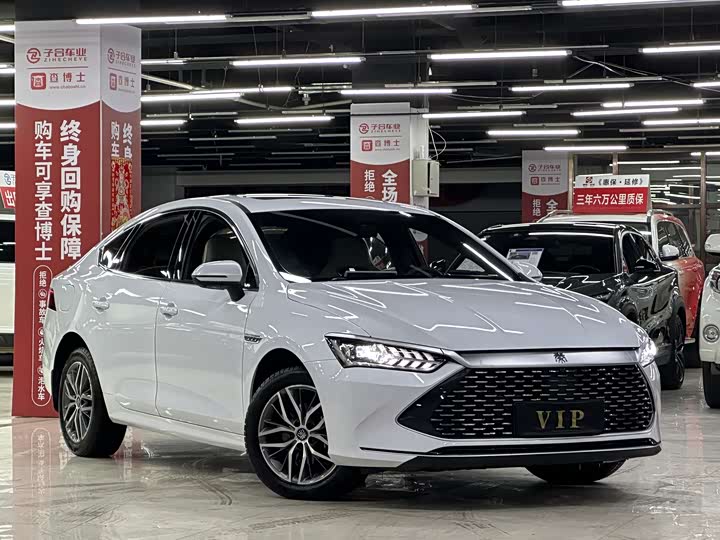 Фото 3 - BYD Qin Plus