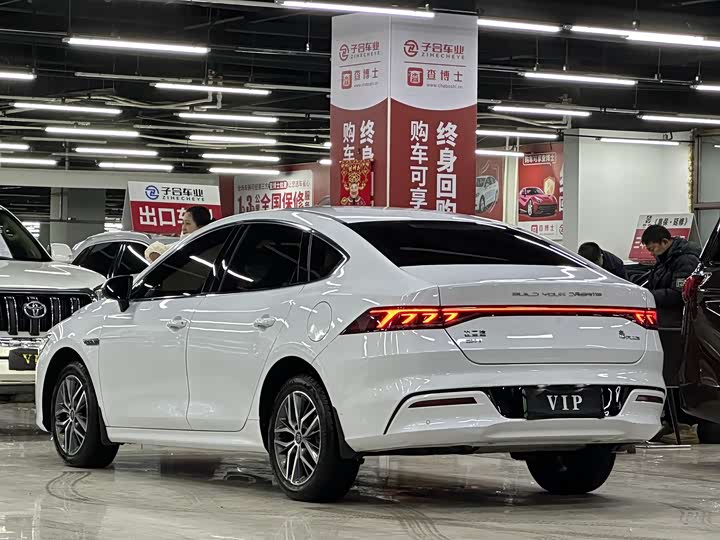 Фото 4 - BYD Qin Plus