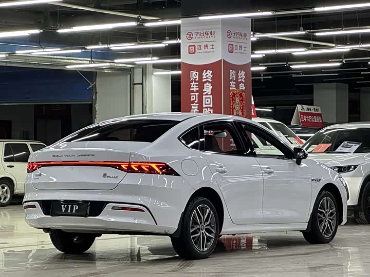 Фото 6 - BYD Qin Plus