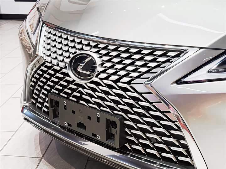 Фото 7 - Lexus RX