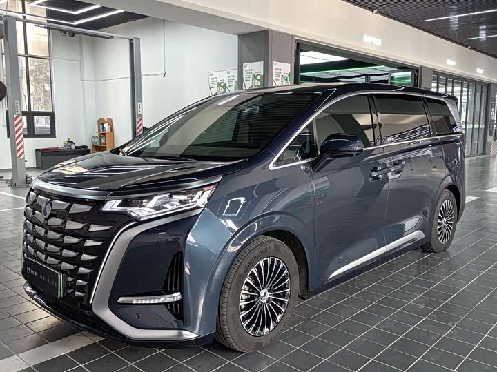 Фото 1 - Denza D9