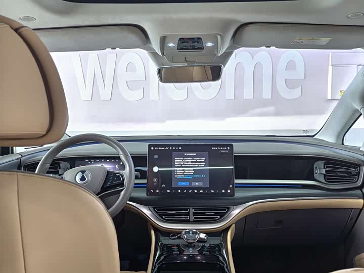 Фото 8 - Denza D9