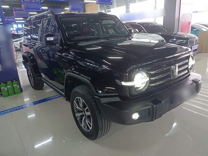 Фото 4 - Tank 300