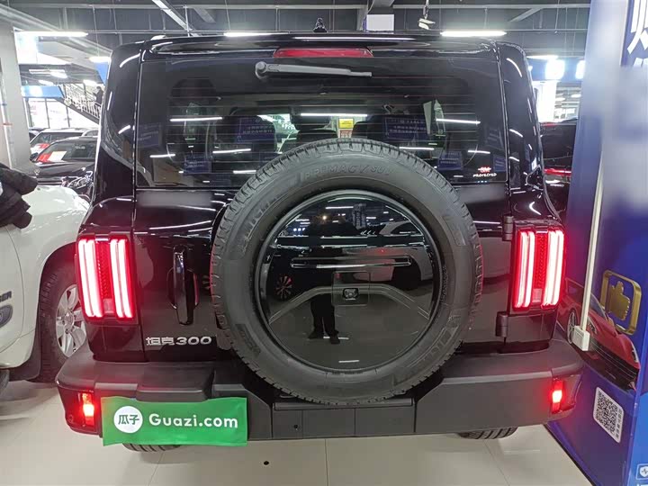 Фото 6 - Tank 300