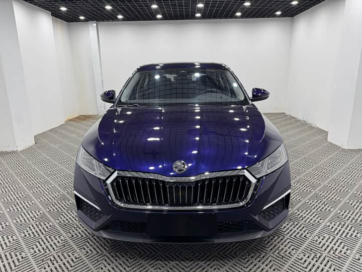 Фото 2 - Skoda Octavia Pro