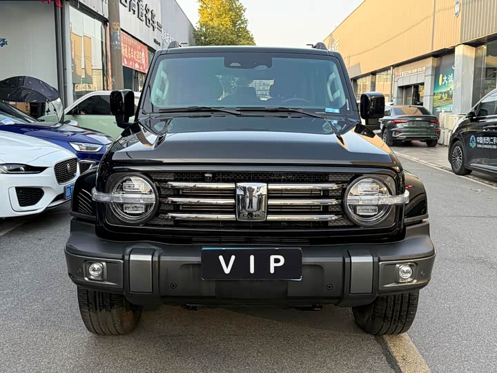 Фото 2 - Tank 300