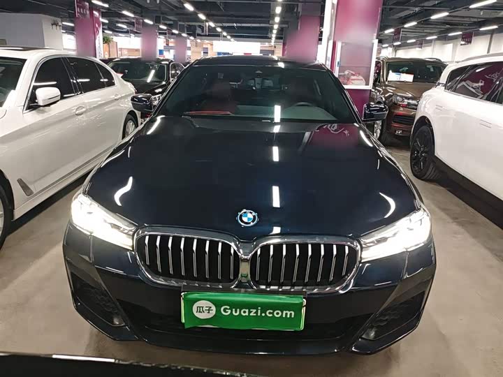 Фото 3 - BMW 5 Series Hybrid