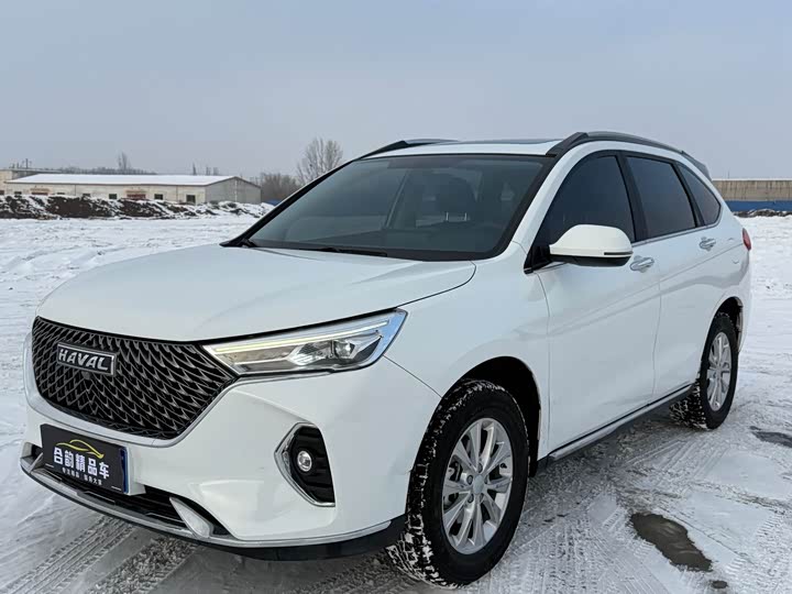 Фото 1 - Haval M6