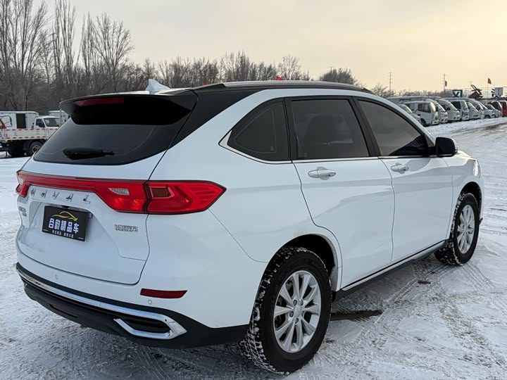Фото 7 - Haval M6