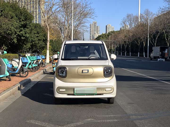 Фото 2 - Bestune Pony